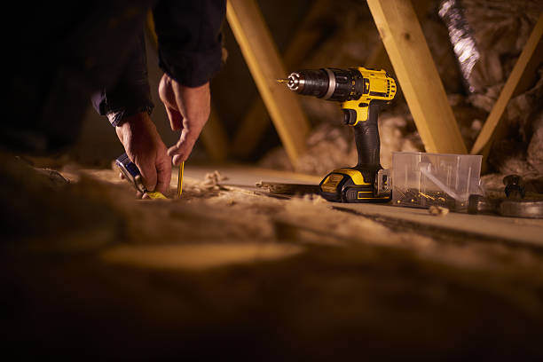 Best Insulation Removal  in Hazen, ND