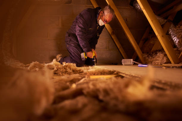 Best Wall Insulation Contractor  in Hazen, ND